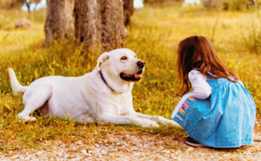 지브리 사진 변환