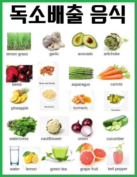 독소배출 음식모음