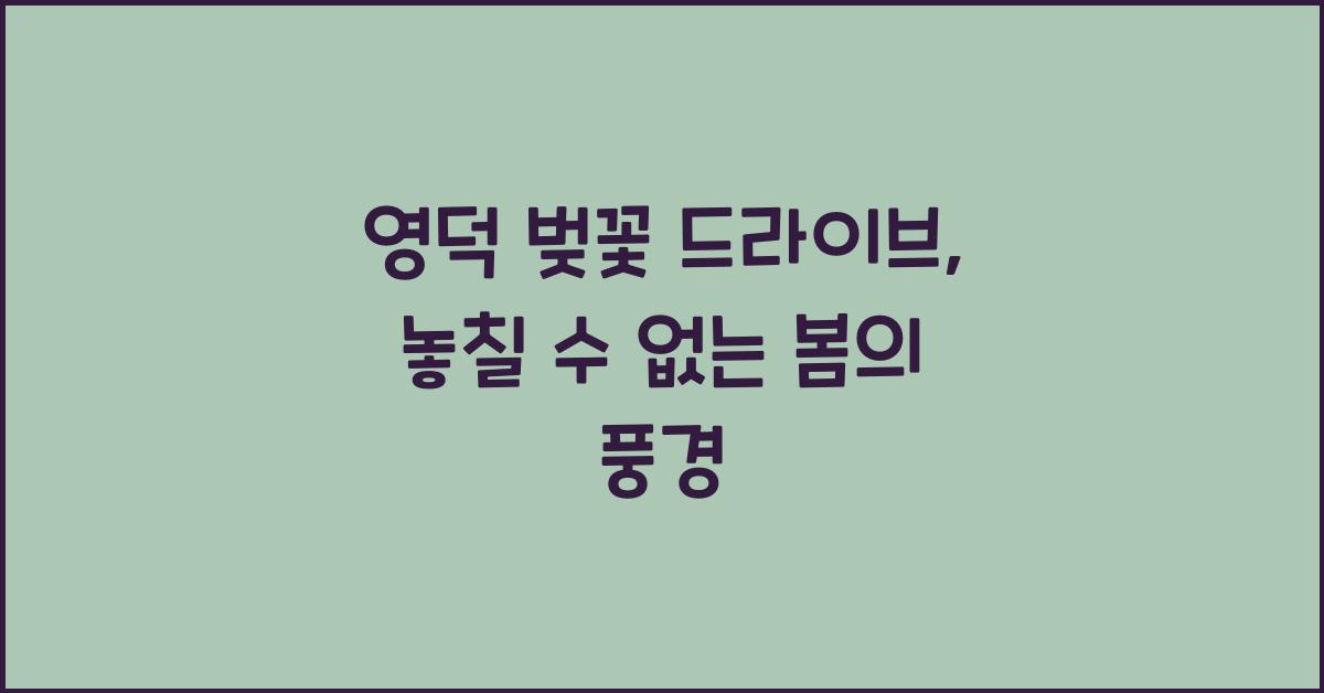 영덕 벚꽃 드라이브