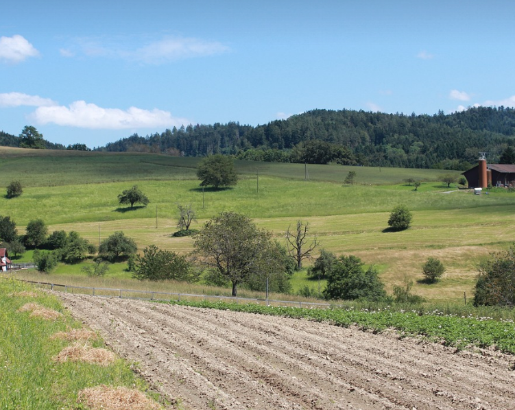 스마트팜 농업 관련 사진