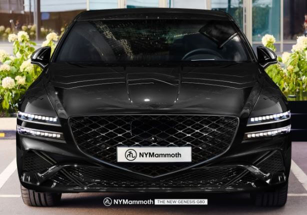 G80-페리-뉴욕맘모스