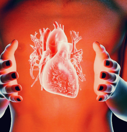 심부전증 치료법