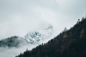 김장김치 맛있게 담는 법