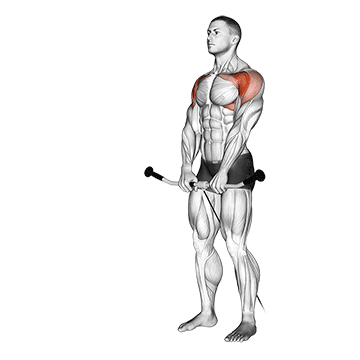 rope cable front raise