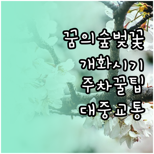 북서울꿈의숲 벚꽃 개화 시기 주차장 ..