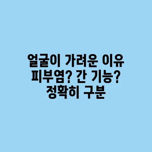얼굴이 가려운 이유 피부염? 간 기능? 정확히 구분
