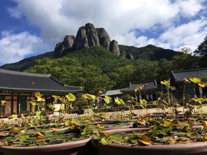 대전사에서 바라본 주왕산