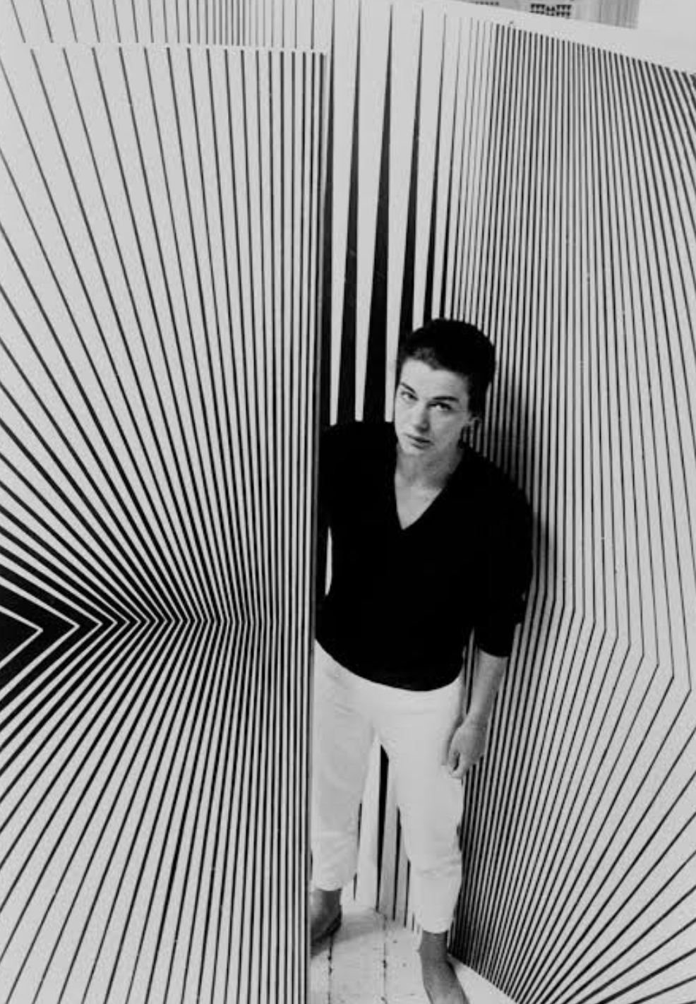 브리짓 라일리(Bridget Riley)