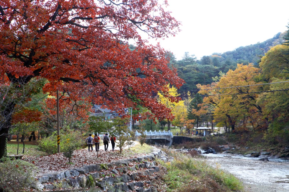 가을 여행지 추천