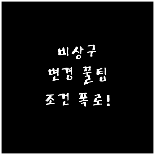 스캇항공 비상구 좌석 변경 비용과 조..