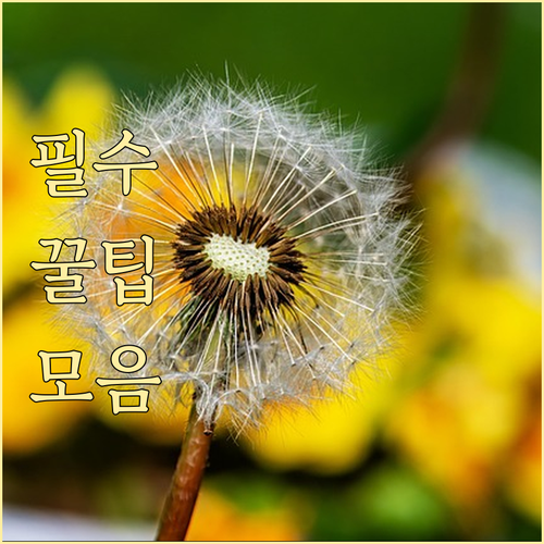 암보험 진단비, 나에게 맞는 최적 금..