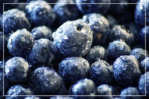 아사이베리 먹는 법 (일상에서 활용하기)