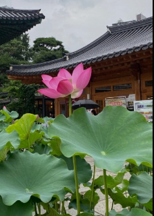 봉은사