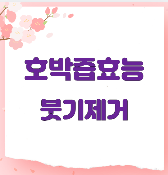 호박즙효능 붓기제거