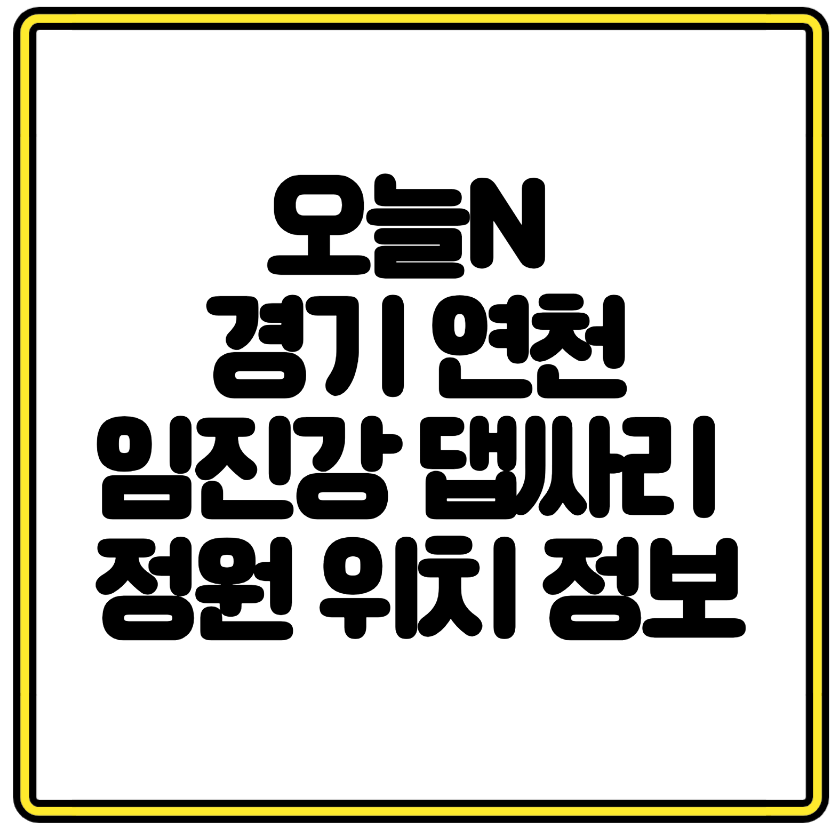 오늘N 경기 연천 임진강 댑싸리 정원 위치 정보, 개화 시기부터 사진 명소까지 총정리
