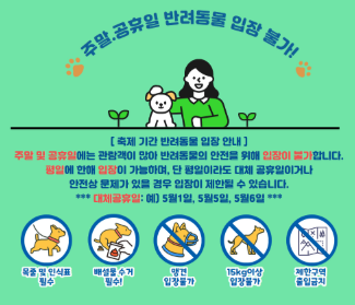 2025 피나클랜드 불꽃축제 총정리