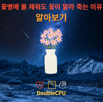 꽃병에 물을 채워도 꽃이 말라 죽는 이유