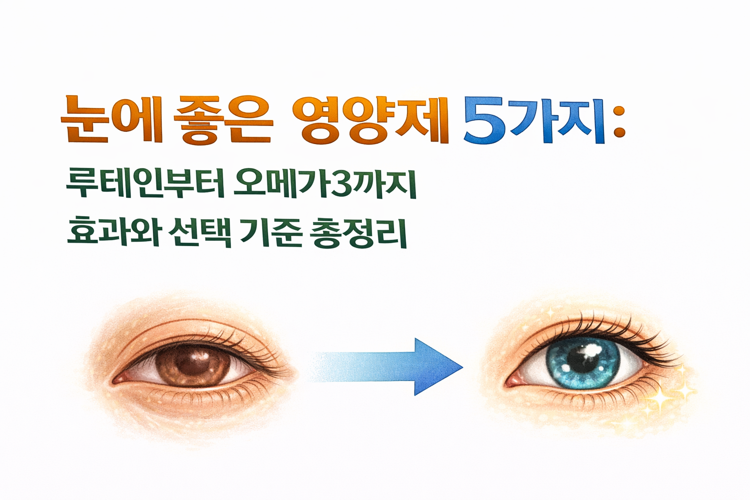 눈에 좋은 영양제 5가지: 루테인부터 오메가3까지 효과와 선택 기준 총정리