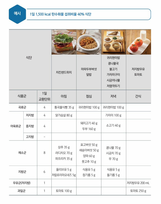 저탄수화물 다이어트 방법, 레시피, 식단