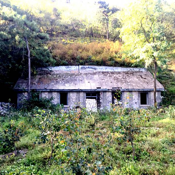 고요함을 대하는 방식&ndash; 일본 폐허 여행지와 한국 폐허의 문화적 차이