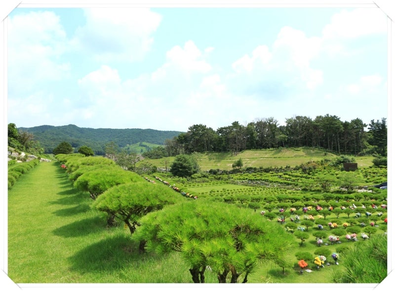 파주 수목장
