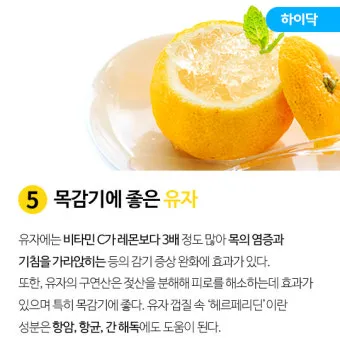 감기에 좋은 음식 5가지 자연에서 찾은 면역력 보약 건강식품_15