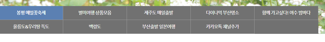 아름여행사 홈페이지