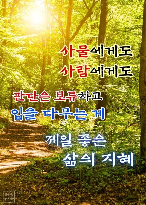 숲길 사이로 햇살이 비치는 평화로운 여름 아침 풍경과 지혜의 글귀