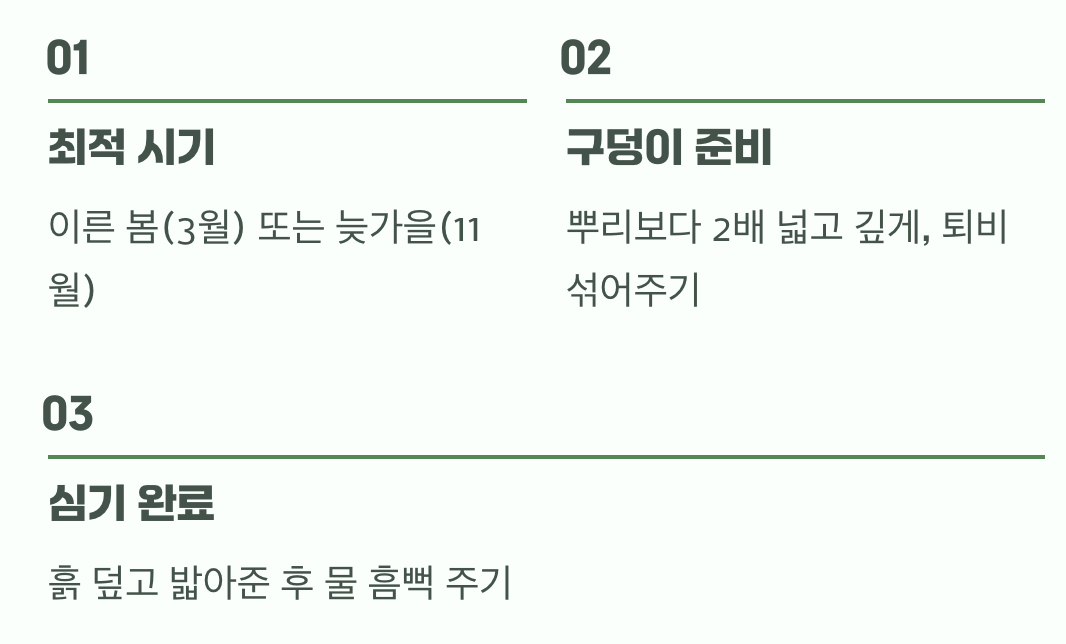 성공적인 첫걸음&amp;#44; 옮겨 심기