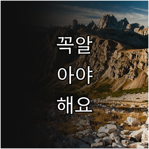 2025 영등포구 금연클리닉 신청 지..