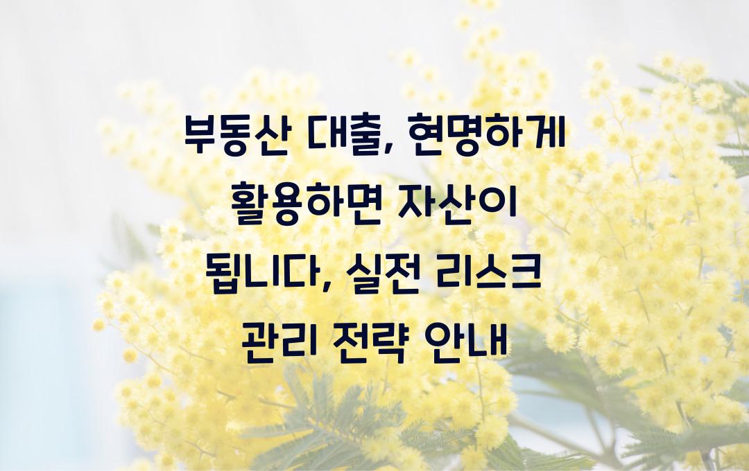  부동산 대출, 현명하게 활용하면 자산이 됩니다: 리스크 관리 실전 가이드