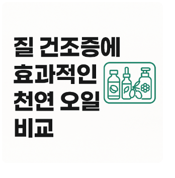 질건조증 오일추천