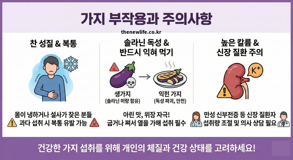 섭취 시 주의해야 할 가지 효능 부작용과 솔라닌 독성 제거 방법을 설명하는 이미지