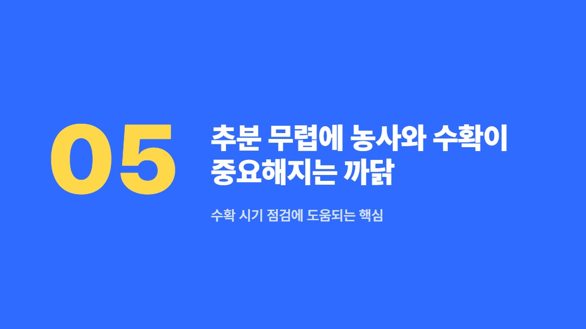 추분 무렵에 농사와 수확이 중요해지는 까닭 — 수확 시기 점검에 도움되는 핵심