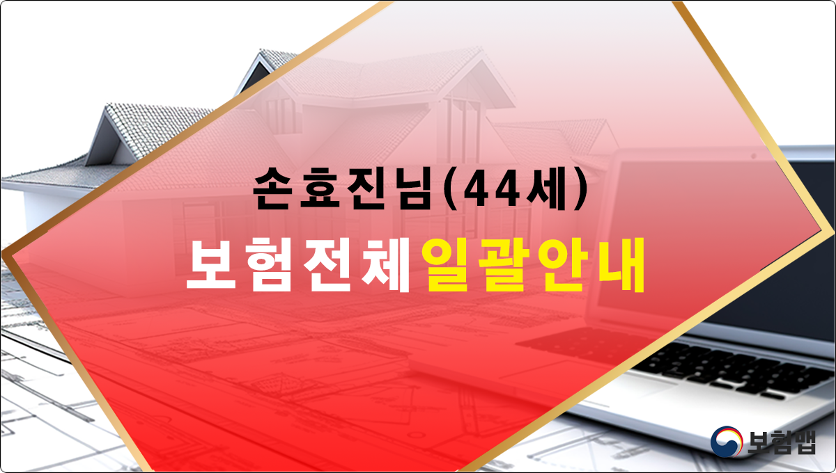 손효진님 보험분석