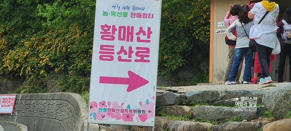 황매산 철쭉 개화시기, 셔틀버스, 산청 합천 5월 가볼만한곳