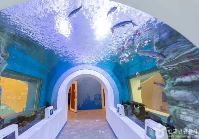 장흥 가볼만한곳 베스트 10