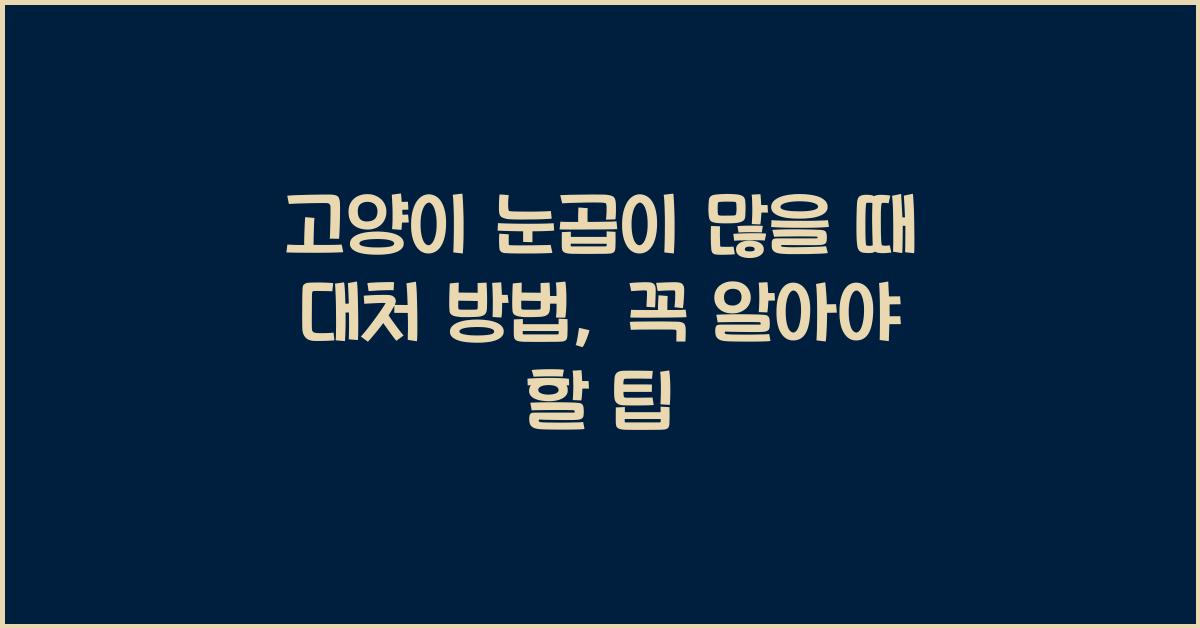 고양이 눈곱이 많을 때 대처 방법