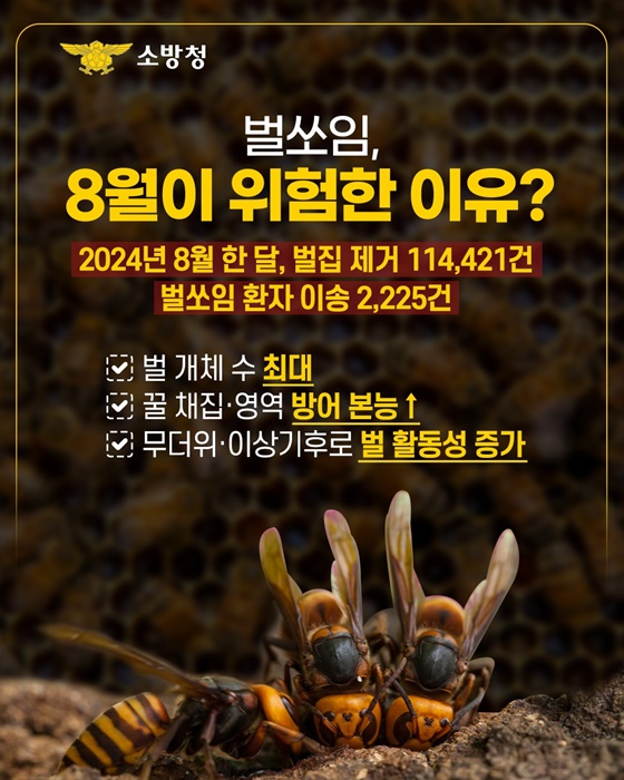 벌쏘임 벌집제거 행동요령 응급대처법 벌침제거법 8월벌쏘임 알레르기응급 소방청통계