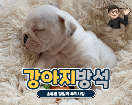 방석에서 자고 있는 새끼 강아지