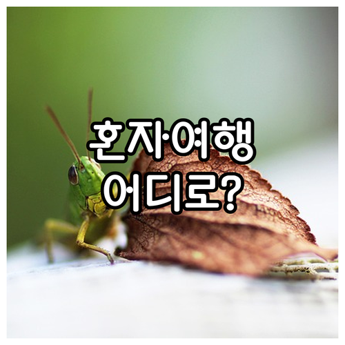 혼자 떠나기 좋은 국내 여행지: 도시..