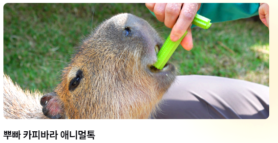 에버랜드