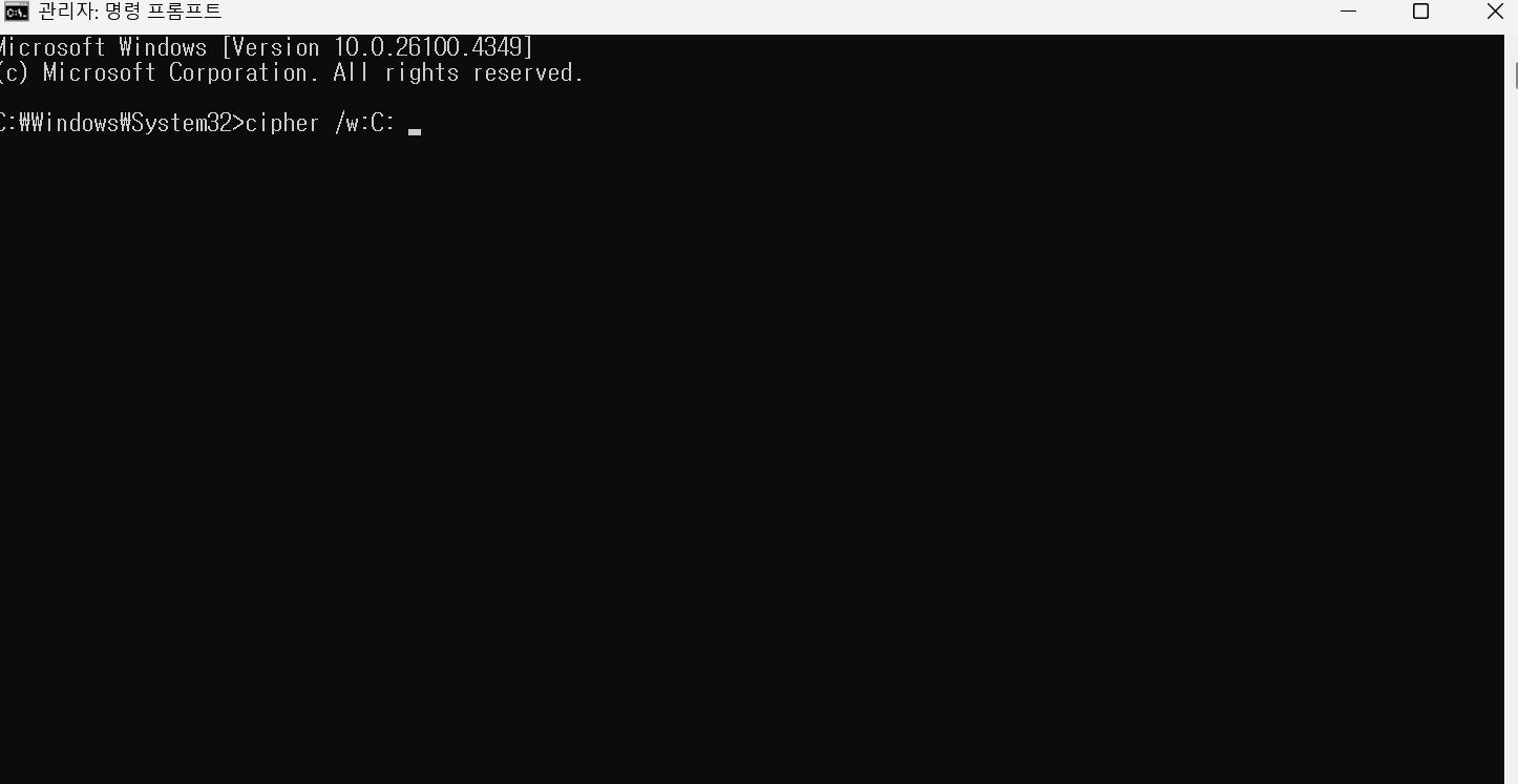 <img src="screenshot.jpg" alt="윈도우 11 설치 과정 스크린샷" />
