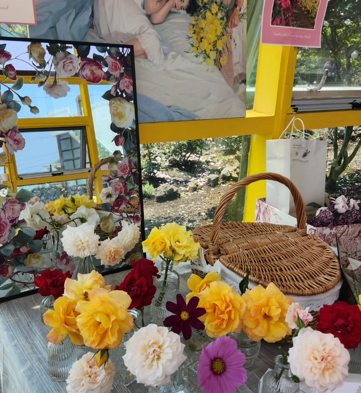 지금 안 가면 1년 기다려야 해! 제주 아일로사 장미정원, 6월 꽃구경 명소!