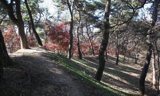부소산성-성벽-사진
