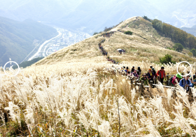 제1회-전국-억새&amp;노을-사진-공모전