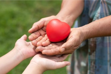 사회복지사 2급 자격증 취득방법