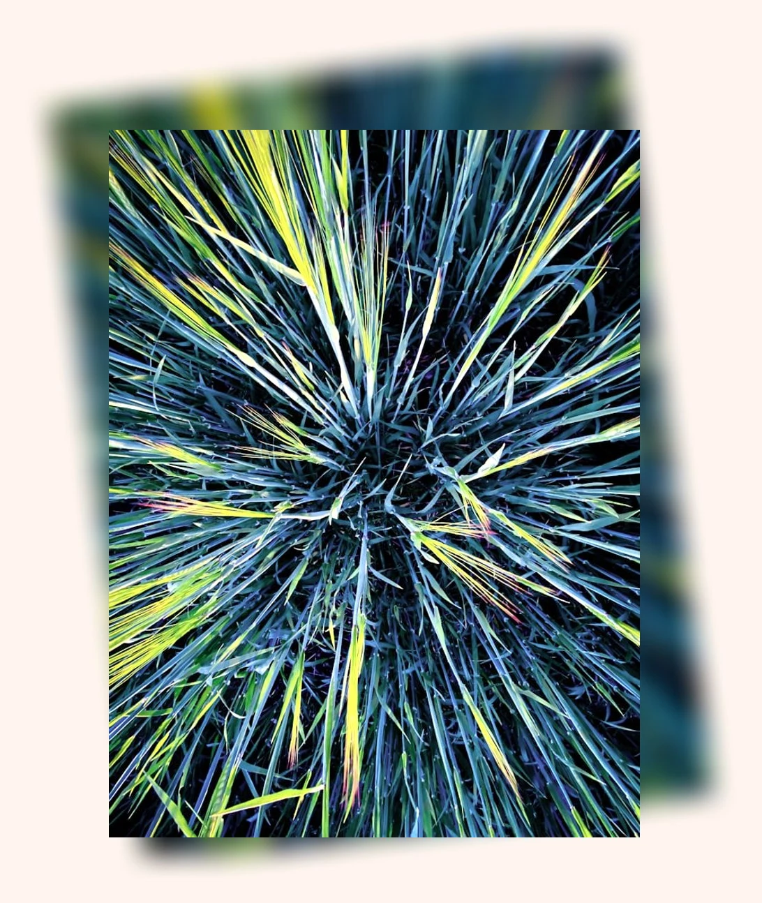 스마일라식 회복_2_subsection