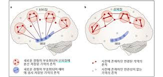 수면중에 학습하고 기억 저장