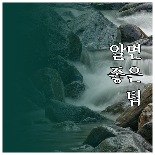 나만의 서점 만들기 장르별 책 분류 ..